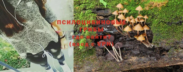 молекула духа Белоозёрский