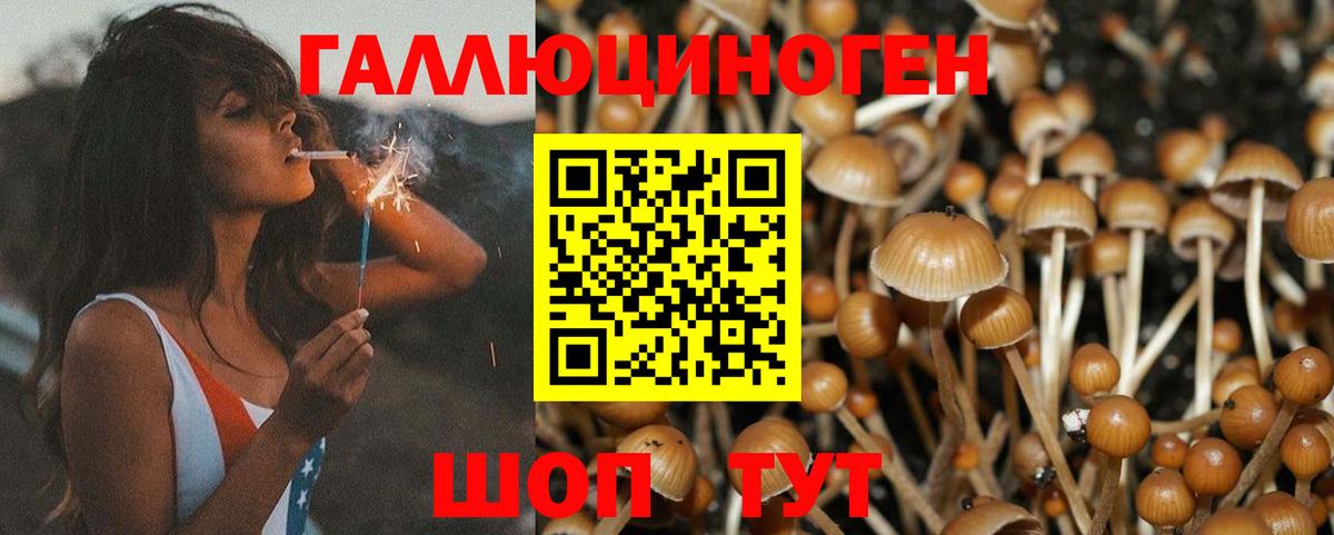 Горячий Ключ  Псилоцибиновые грибы мицелий  Вход с VPN 