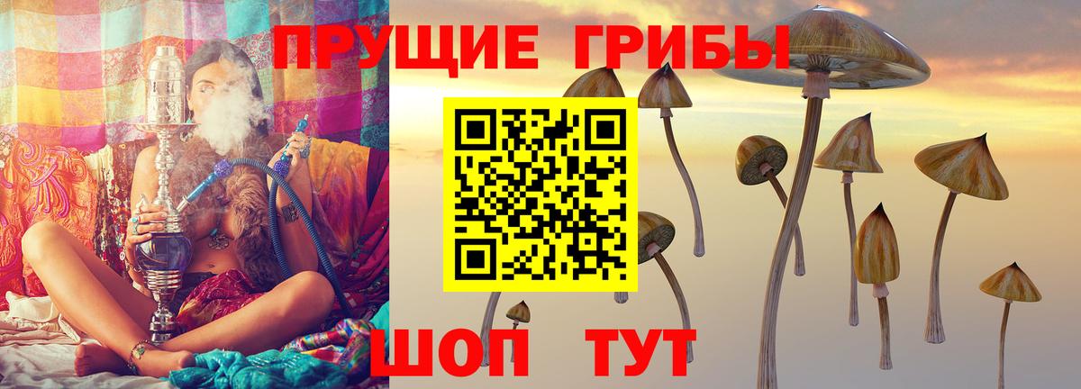 Галлюциногенные грибы Psilocybine cubensis Горячий Ключ